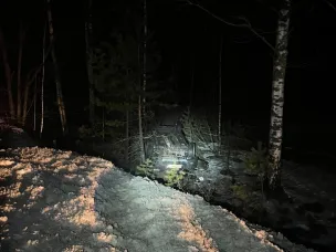 СВОДКА ОГИБДД МО МВД России «Павловский»